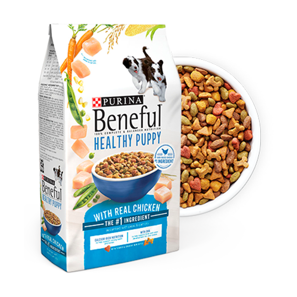 How to potty train your dog Dog Article Purina