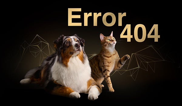 Error 404 Proplan