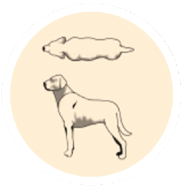 ideal-weight ideal-weight