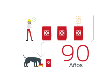 A%C3%B1os_0.png.webp?itok=ZZsUq601 A%C3%B1os_0.png.webp?itok=ZZsUq601