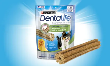 Purina%20Dentalife%20Small%20medium%20Car.jpg.webp?itok=OR7QXgwd