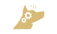 pro-plan-icon-dog-brain-supporting.png.webp?itok=17CnZl45