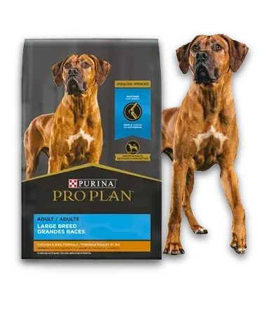 Purina.ProPlan.carrusel.perro_largebreed.png.webp?itok=muDNnQ9H