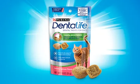 Purina%20Dentalife_CTA_Salmon_Cat.png.webp?itok=qUKTFKEu