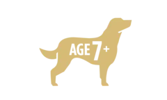 pro-plan-icon-age-7-plus-dog.png