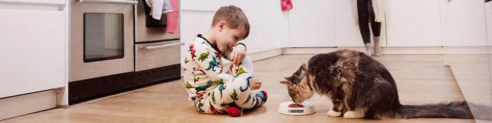 purina-teaching-kids-to-care-for-dogs-and-cats-1200x300.jpg