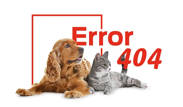 Error Purina Brand 404